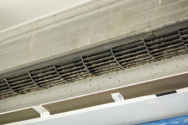 Reliable Richmond West, FL Airduct Cleaning Solutions